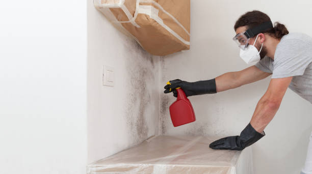 Attic Mold Remediation treatment on roof deck in Fountainville