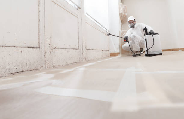 Black mold remediation team in Fountainville