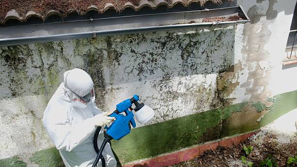 Mold Remediation service in Fountainville, Fountainville, PA